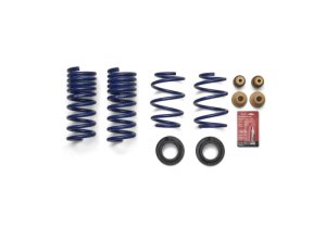 Ford Mustang Suspension Lift Kit - Ford Racing - Track Lowering Spring Kit - `24-`27